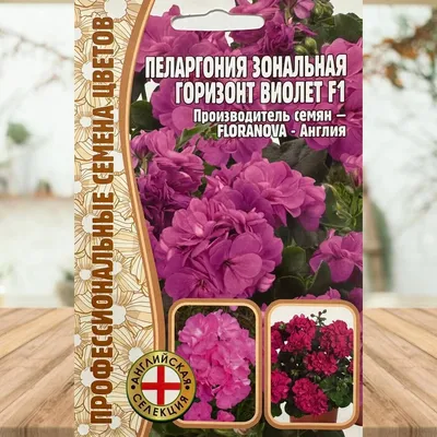 Купить Искусственная герань, букет, белый оптом в Украине: цена, описание,  характеристики › Flowers Decor