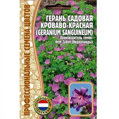 Семена Цветов Герань садовая кроваво-красная (Geranium Sanguineum) 3 сем.  купить