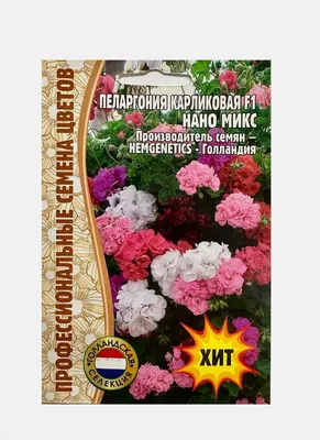 Пеларгонии (Герань) домашних цветов Пеларгония герань карликовая Нано Микс  F1 - купить по выгодным ценам в интернет-магазине OZON (936087576)