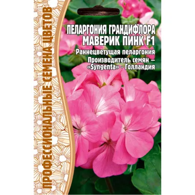 Семена Цветов Пеларгония (Герань) Грандифлора Маверик Пинк F1, 3 сем. купить