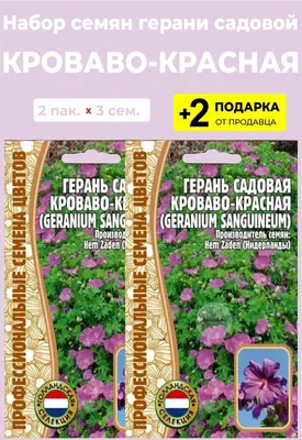 Пеларгонии (Герань) Семена Алтая Пеларгония зональная \"Горизонт\" - купить  по выгодным ценам в интернет-магазине OZON (1134251597)