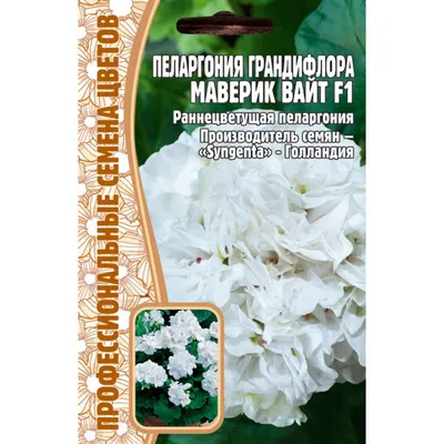 Купить семена пеларгонии (герани) почтой в интернет-магазине Semena.ru