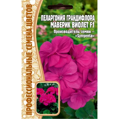 Огород и дача/ Garden and flowers. - КАПЛЯ ЙОДА - И ВЫ НЕ УЗНАЕТЕ СВОЮ  ГЕРАНЬ! Вырастить герань можно и из семян, но я предпочитаю черенкование,  которое проводится с середины февраля до