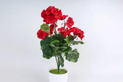Интерьер дома и дачи :: Искусственные цветы и растения :: Декоративное  искусственное растение \"Красная герань\"