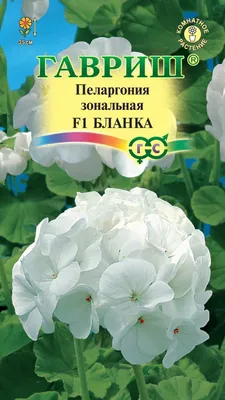 Герань (Geranium) - PictureThis