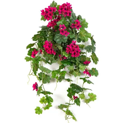 Герань ампельная искусственная 85см купить