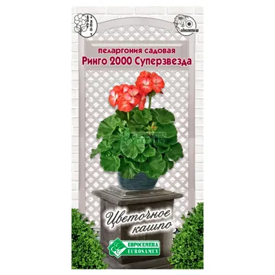 Герань садовая кроваво-красная Geranium Pink Pouffe | ELGardens - цветы для  сада Саратов/Энгельс
