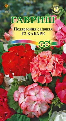 🌲 🌳 Многолетняя садовая герань купить | питомник растений Зеленый капитал