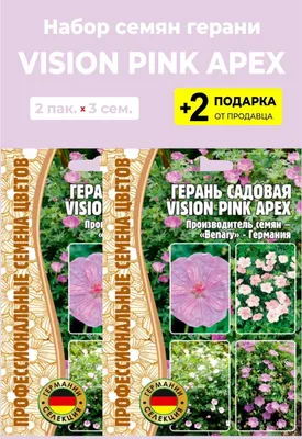 Герань садовая Розанна Geranium hybride Rozanne 2-3л NEW!, цена в  Санкт-Петербурге от компании Вилла-планта (садовый центр и питомник  растений, ландшафтное бюро)