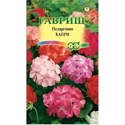 Купить семена герани садовой многолетней - в ассортименте. Доставка.
