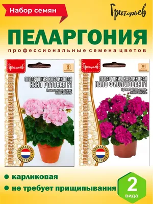 Купить семена пеларгонии зональной розовой с доставкой почтой по Украине |  интернет-магазин Ogurki.com