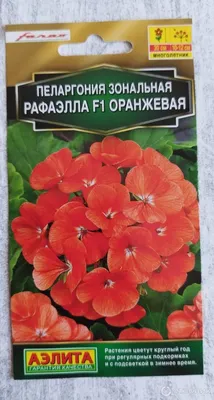 Семена Пеларгонии Ярка F1 Светло-розовая 10 сем купить в Украине с  доставкой | Цена в Svitroslyn.ua