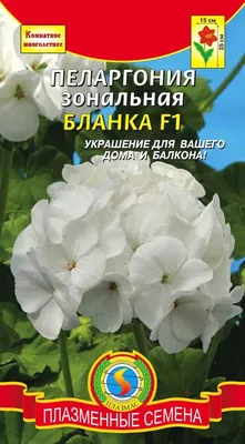 Товары для ухода за комнатными растениями - купить в интернет-магазине 7  Семян