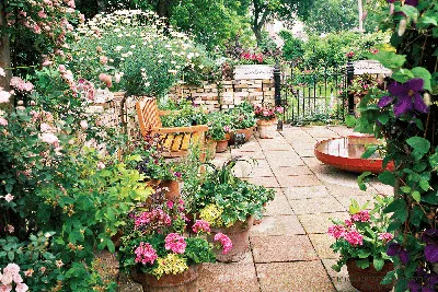 https://stroistyle.com/50804-geran-v-landshaftnom-dizaine.html