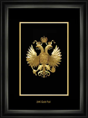 File:Герб России на воротах Зимнего Дворца 2H1A4207WI.jpg - Wikimedia  Commons
