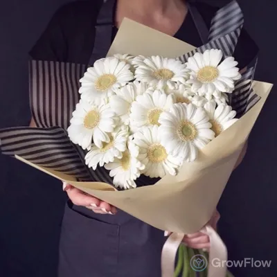 Цветы белые герберы купить в Москве по цене 3390₽ | Арт. 105-264