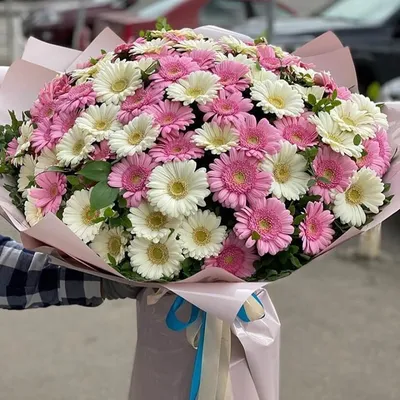 Бело-розовый букет из 101 герберы за 17 090 руб. | Бесплатная доставка  цветов по Москве