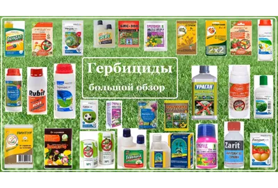 Купить гербицид сплошного действия Торнадо, цена в Калининграде