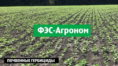 Купить гербициды от сорняков ✔️ цены в Украине | Опт на GreenToro