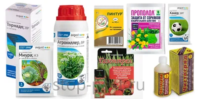 ГЕРБИЦИДЫ от сорняков (ТОП-5 эффективных, +рейтинг препаратов) | ЗАЩИТА от  ВРЕДИТЕЛЕЙ | Дзен