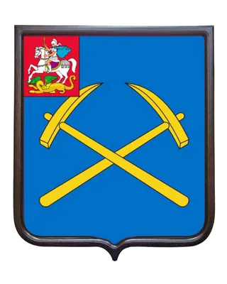 Флаг.ру: Печатный герб города Егорьевск 35x45 см. | 35x45