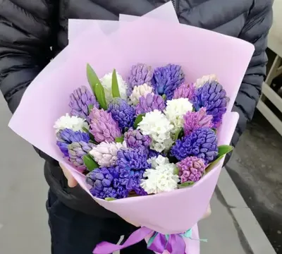 19 гиацинт моно-букет за 7 990 руб. | Бесплатная доставка цветов по Москве