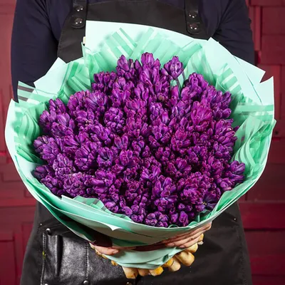 Гиацинт Пёрпл Сенсейшн (Hyacinthus Purple Sensation) - Луковицы гиацинтов -  купить недорого гиацинты в Москве в интернет-магазине Сад вашей мечты