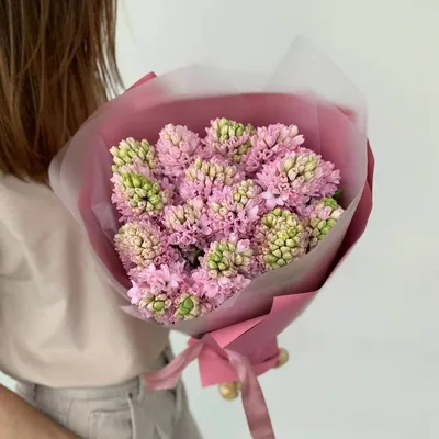 Купить Гиацинт «Розовый» из каталога Цветы в Сыктывкаре - «Флориска».