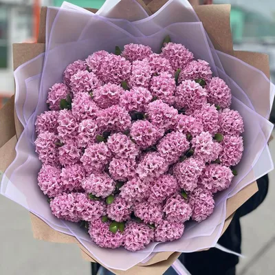 51 розовый гиацинт в букете за 16 590 руб. | Бесплатная доставка цветов по  Москве