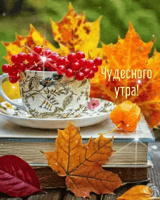 Гифки \"Доброе Утро!\" (259 шт.)