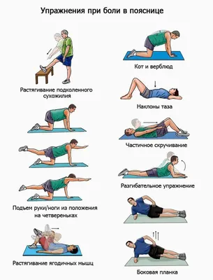 комплекс упражнений при боли в пояснице | Lower back pain exercises, Low  back pain, Back pain exercises