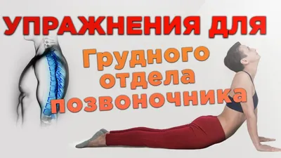 Гимнастика (ЛФК) — Аспект Здоровья