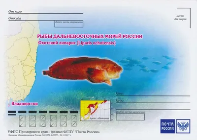 Тунец, лакедра, гипероглиф, скумбрия и прочая экзотика