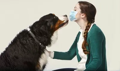 Лучшие гипоаллергенные породы собак: названия, фото, описание, отзывы  кинологов