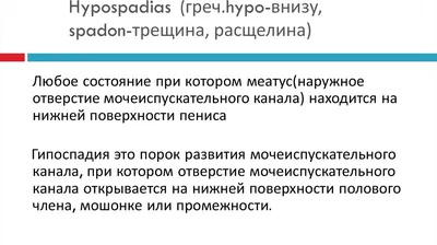 Аномалии уретры - презентация онлайн