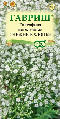 Гипсофила Gypsy Deep Rose, Sakata купить в Украине - цена, фото, отзывы |  Agrolife