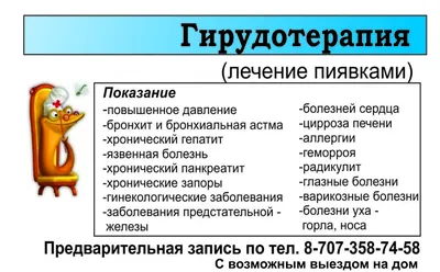 Гирудотерапия | Амрита - Сеть клиник восточной и остеопатической медицины в  Санкт-Петербурге