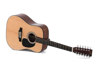 Washburn WD10S12 - 12-струнная акустустическая гитара Dreadnought купить в  магазине для музыкантов Рок-н-Ролл