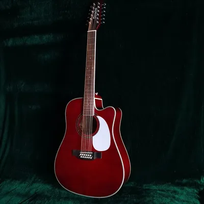 12 Strings Single Cutaway Red Takemine Electric Acoustic Guitar Solid Top |  eBay