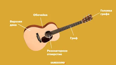 Какую гитару выбрать? Советы музыкального мастера | Пикабу