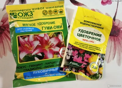 Гладиолусы | Купить в Алматы | Цены на Satu.kz, стр. 2
