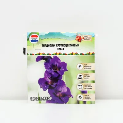 Гладиолус крупноцветковый Курск. луковичные