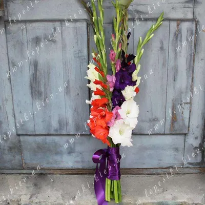 Искусственный гладиолус большой. Купить искусственные цветы Киев