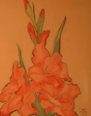 Mykhailo Zhuk | Gladiolus (1929) | MutualArt