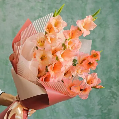 Букет №173 - Букет на 1 сентября из гладиолусов и розовой гипсофилы - заказ  цветов с доставкой по СПб и Ленобласти | ManiaFiori.ru