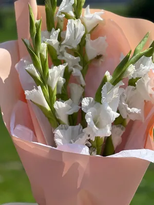 Букет из гладиолусов в вазе - заказать доставку цветов в Москве от Leto  Flowers