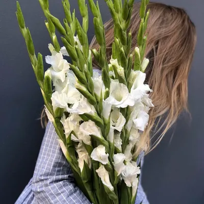 9 белых гладиолусов в букете за 5 690 руб. | Бесплатная доставка цветов по  Москве