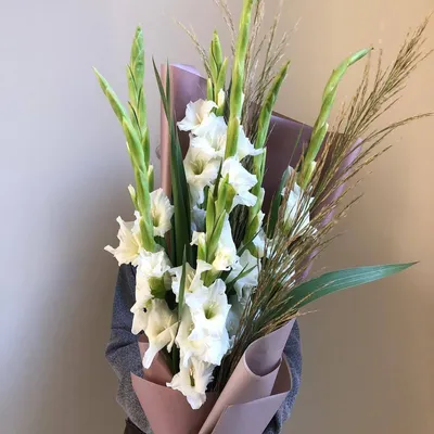 9 белых гладиолусов с зеленью в букете за 8 390 руб. | Бесплатная доставка  цветов по Москве
