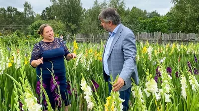 Поиск Саженец Гладиолус Легкое Дыхание крупноцветковый Российская селекция  5 луковиц купить в Москве, цена в интернет-магазине