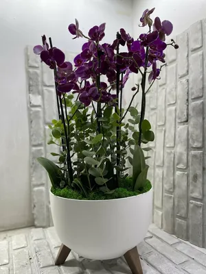 ЦВЕТОЧНЫЙ НАБОР ГЛАДИОЛУСЫ - купить в Санкт-Петербурге | FLOWER BAR